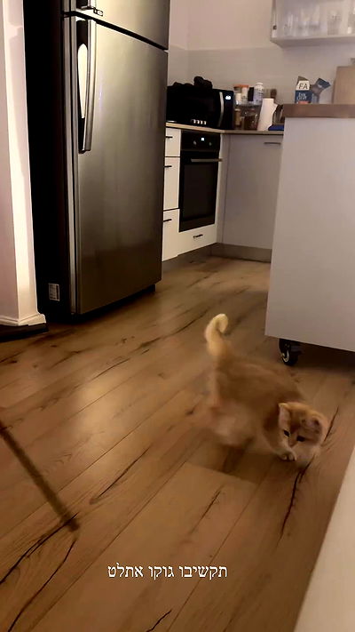 itsilanosh itsilanosh archive video