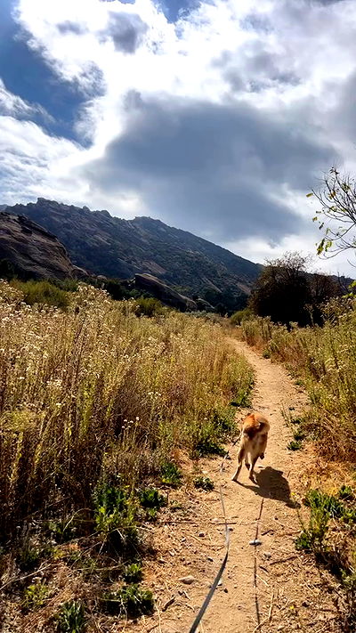 zommmbri zommmbri archive video