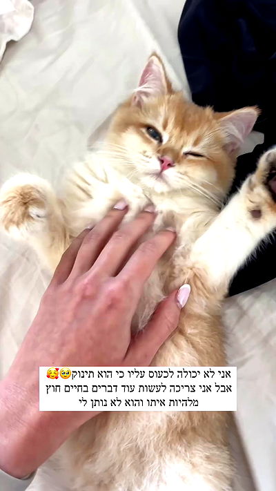 itsilanosh itsilanosh archive video