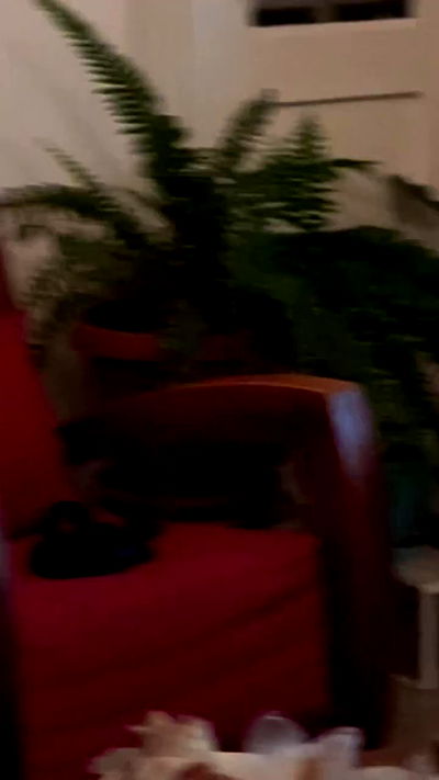 mishel116 mishel116 archive video