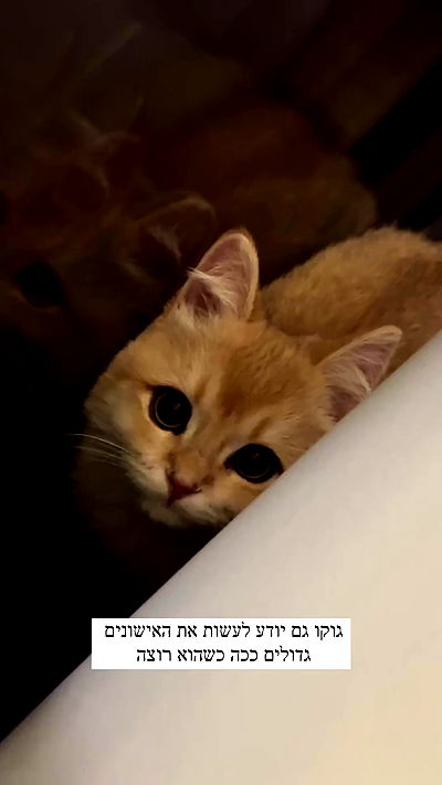 itsilanosh itsilanosh archive video