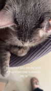 canabaputgir Altpins Profile Picture