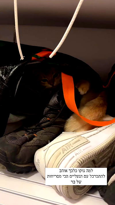 itsilanosh itsilanosh archive video