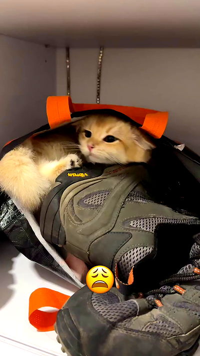 itsilanosh itsilanosh archive video