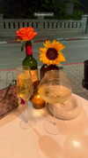 noa_mendel_ Altpins Profile Picture