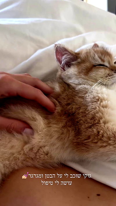 itsilanosh itsilanosh archive video