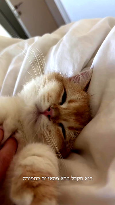 itsilanosh itsilanosh archive video