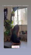 edin.karyn Altpins Profile Picture