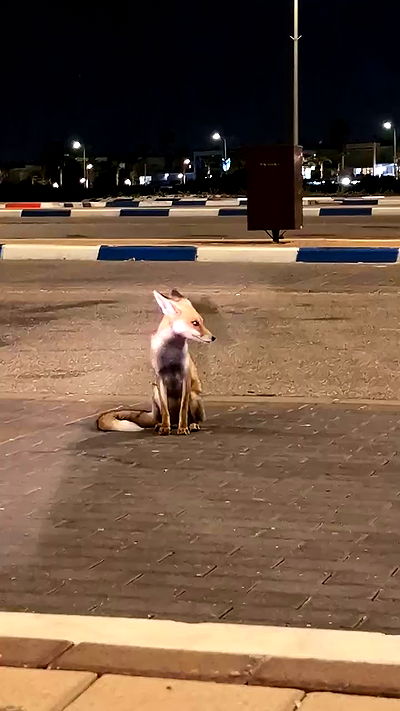 tinapavlov.sky tinapavlov.sky archive video