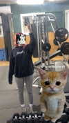 avitallllllll Altpins Profile Picture