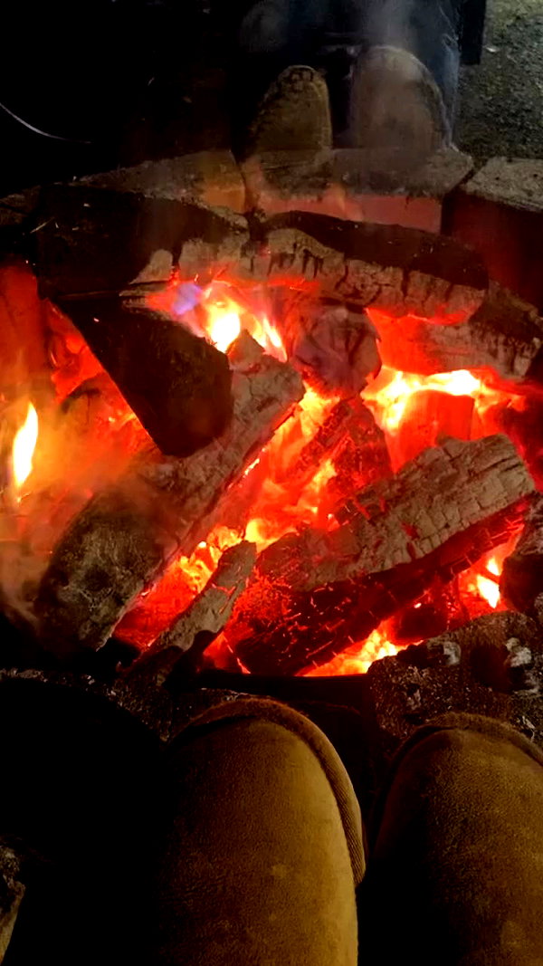 v.qx archive video preview