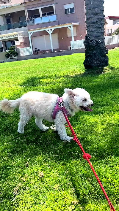 feelbetterinmysweater feelbetterinmysweater archive video