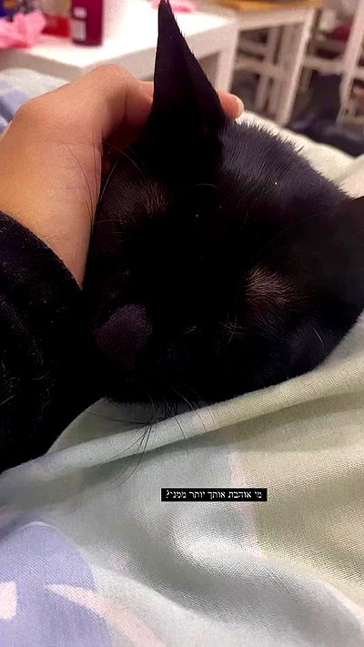 rebecka_tsadok rebecka_tsadok archive video