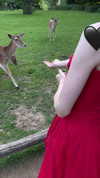 candy_balll Altpins Profile Picture