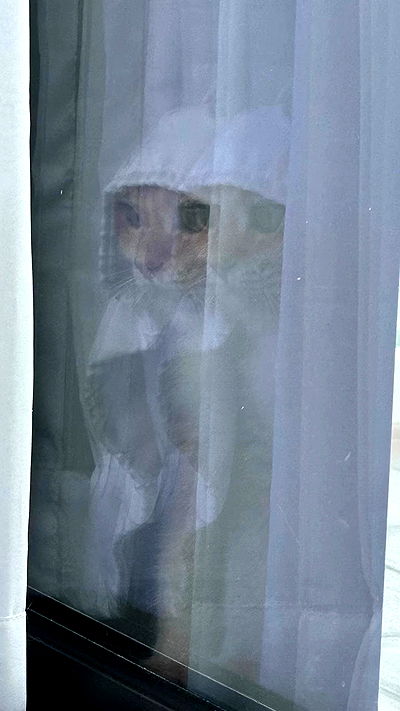 itsilanosh itsilanosh archive video