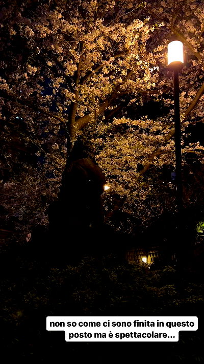 kasumi_sen kasumi_sen archive video