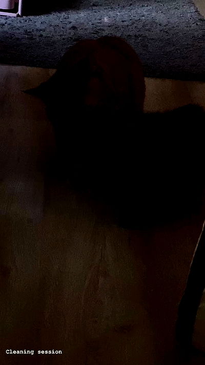 yoo.mon yoo.mon archive video