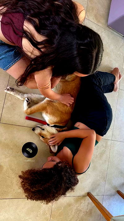 sofialevin__ sofialevin__ archive video