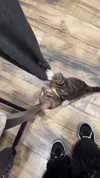 heathergrace67 Altpins Profile Picture