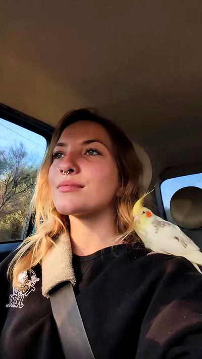 tinapavlov.sky tinapavlov.sky archive video