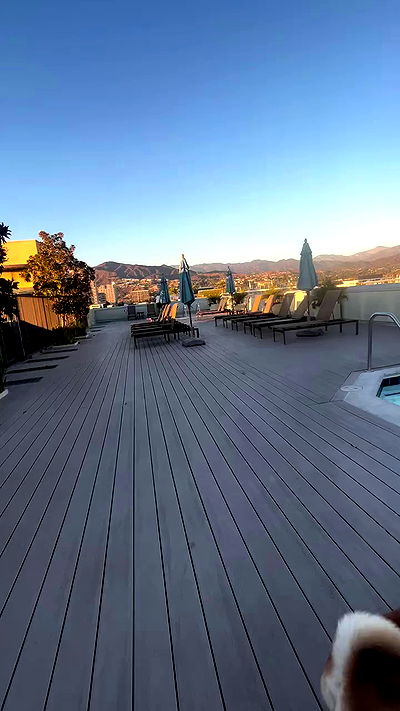 zommmbri zommmbri archive video