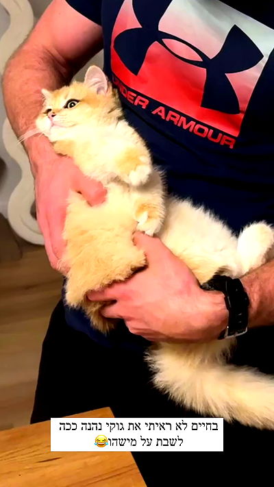 itsilanosh itsilanosh archive video