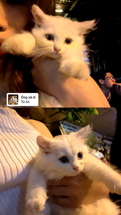 danbbyyy danbbyyy archive video