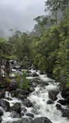 dianavgalvis Altpins Profile Picture