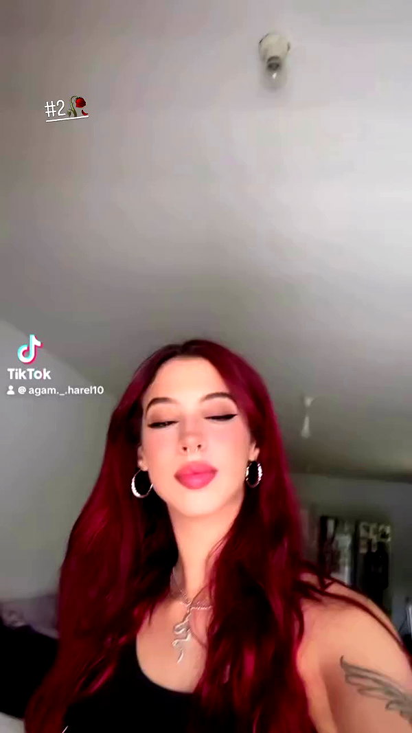 agam._.harel archive video preview