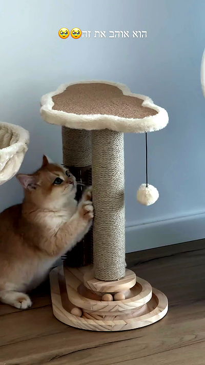 itsilanosh itsilanosh archive video