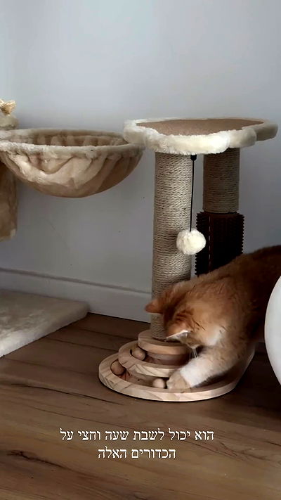 itsilanosh itsilanosh archive video