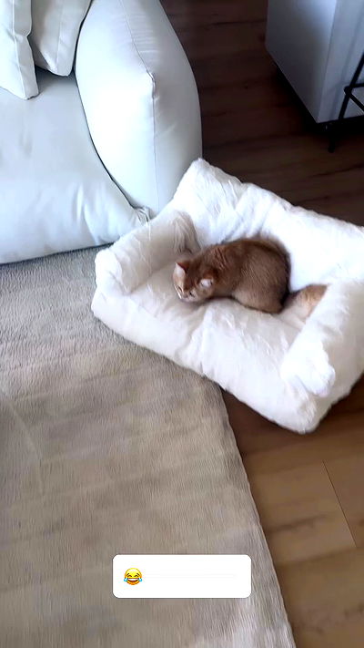 itsilanosh itsilanosh archive video