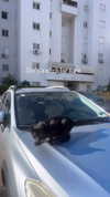 liori_hen Altpins Profile Picture