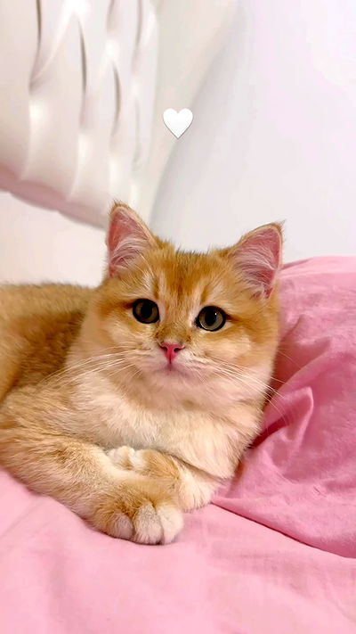 itsilanosh itsilanosh archive video