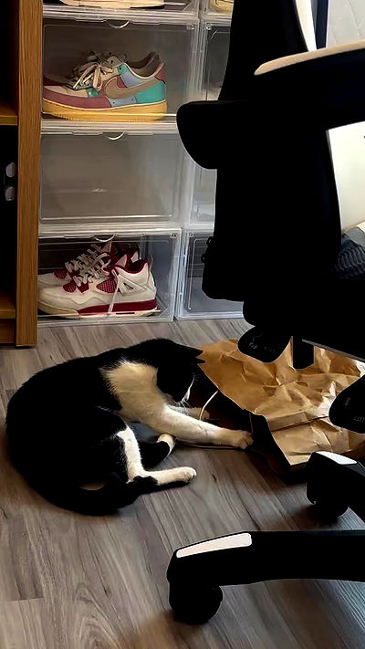 oqr0_ oqr0_ archive video