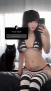 dystorra Altpins Profile Picture