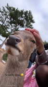 lizakovalenkoo Altpins Profile Picture