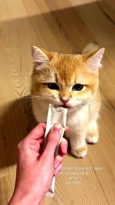 itsilanosh itsilanosh archive video