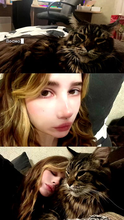 alskohope alskohope archive video