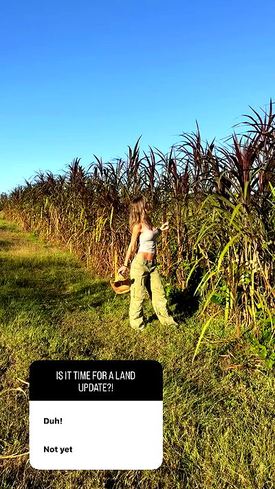 rachelc00k rachelc00k archive video