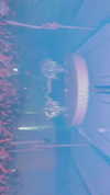 itay.basat Altpins Profile Picture