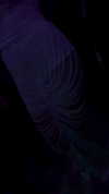 itay.basat Altpins Profile Picture