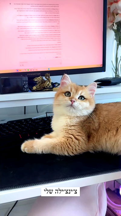 itsilanosh itsilanosh archive video