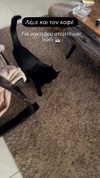 alexandra_stmtk Altpins Profile Picture