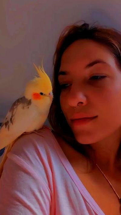 tinapavlov.sky tinapavlov.sky archive video