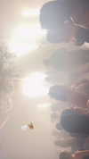 itay.basat Altpins Profile Picture
