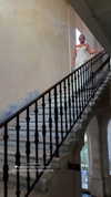 itay.basat Altpins Profile Picture