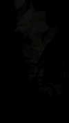 itay.basat Altpins Profile Picture