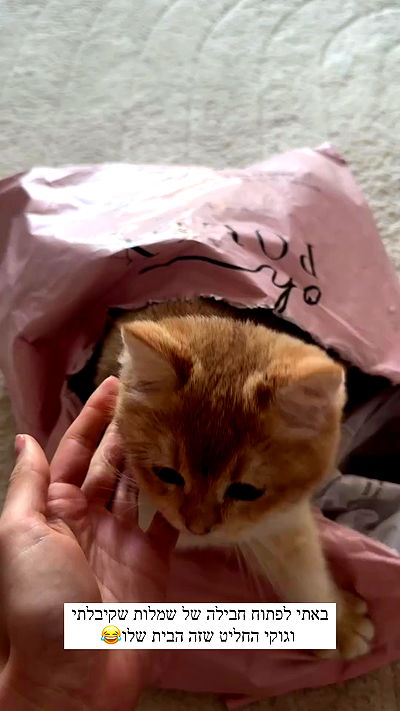 itsilanosh itsilanosh archive video