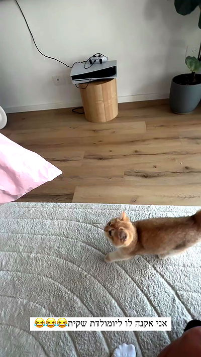 itsilanosh itsilanosh archive video